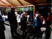 Rozsvícení stromečku v obci Vlkava